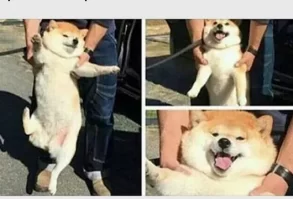 It says: When my parents force me out and ended up having a good time