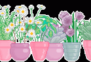 𝕴𝖈𝖊𝖑𝖆𝖓𝖉 𝕱𝖔𝖝