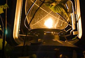 Sounds of the spring forest at night, for the background, before going to bed, for insomnia. Pleasant nature at night, the sounds of the night forest - will help you immerse yourself in a creative mood.