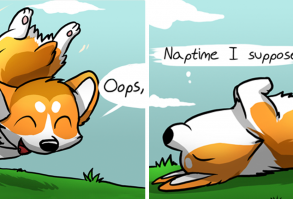 Meet Ichabod, The Most Optimistic Canine That Will Instantly Make You Smile | Bored Panda