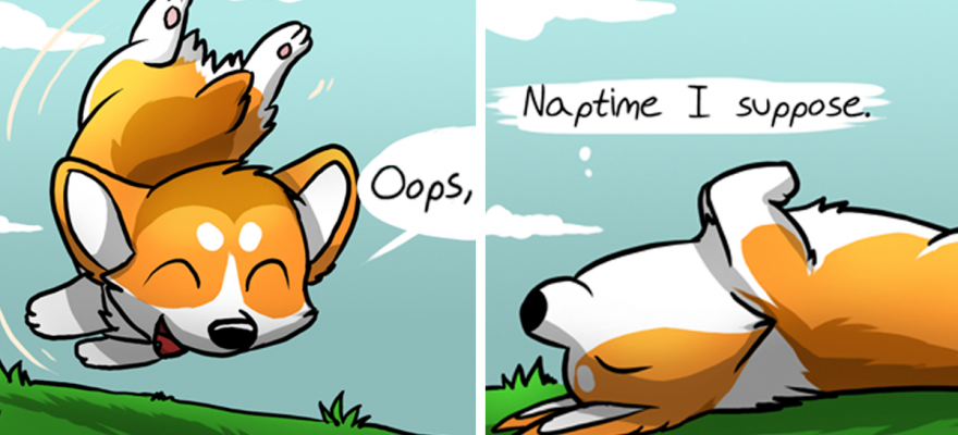 Meet Ichabod, The Most Optimistic Canine That Will Instantly Make You Smile | Bored Panda