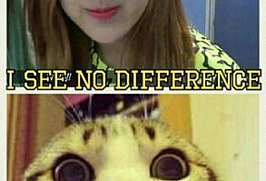 #wattpad #de-todo Memes de las negro rosa                              Los memes no me pertenecen créditos a sus respectivos autores