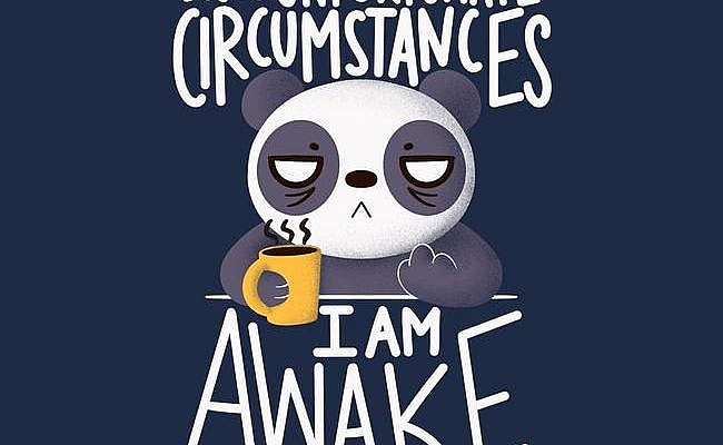 Morning Panda – TeeFury