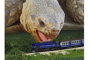 Morning Wake Up Call: Fresh Animal Memes (May 16, 2021) - I Can Has Cheezburger?