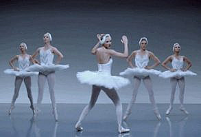 No One Can Dance To Taylor Swift's "Shake It Off" Like This Bird Can