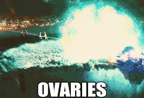 Oh yeah, he proved himself to be a goddamn FEMINIST. | 29 Times Tom Hardy Was Goddamn Human Perfection In 2015