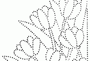 C'est une carte que j'ai réalisé pour le défi d'ornaré de la Passion des Cartes en mars dernier. Les papillons sont des stickers