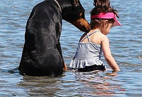 cutie and the beast instagram | Viven en Seattle y la madre de Siena captura momentos divertidos y ...