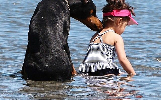 cutie and the beast instagram | Viven en Seattle y la madre de Siena captura momentos divertidos y ...