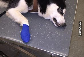 People that throw broken glass on grass F**K YOU!