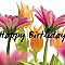 Pin by Corey Atkinson on Birthday wishes in 2022 | Happy birthday greetings friends, Happy birthday greetings, Happy birthday celebration