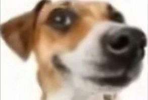 Pin by yasmin on Memes [Video] in 2022 | Funny emoticons, Funny profile pictures, Crazy funny videos