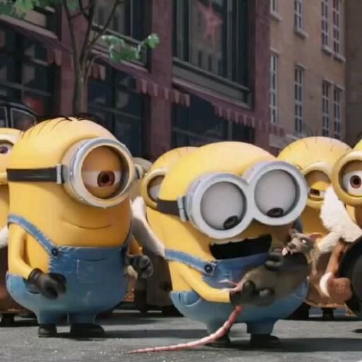 Pin de dariii en Guardado rápido [Video] en 2022 | Minions bonitos, Gif de minions, Minions malvados