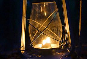 Turn on the video before going to bed if you have insomnia and listen to the background sounds of nature, let them help you relieve fatigue, restore your nervous system, distract yourself from problems, fill up with energy. Pleasant nature in the forest at night, a spiritual sketch for relaxation or meditation.