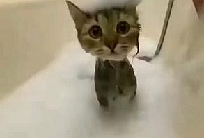 Check out my youtube for more videos!