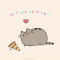 Pusheen the cat