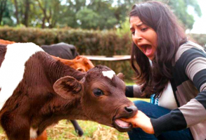 Quiz: Only 1 in 50 FFA Members Can Ace This Challenge. Can You? -- womendotcom