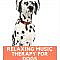 Music Can Relax Pets And Soothe Separation Anxiety, Hyperactivity And Mild Forms Of Aggression. Music Has Also Been Credited With Stimulating Your Pets' Mind! While Music Can Be Used As A Useful Therapeutic Tool In...Read More Here. #Music #Therapy #Dogs