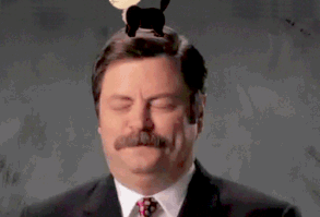 Ron Swanson Being Tickled By A Cartoon Cat