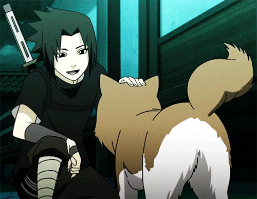 Sasuke Uchiha and a dog