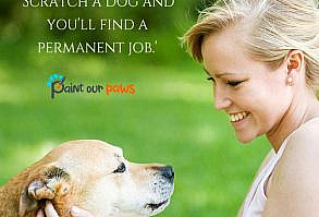 Scratch a dog and you’ll find a permanent job. 🐶❤️️ #dogsvideos #dogbestpix #cutedogvideos #doglifestyle #dogda