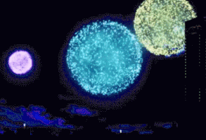 "Shelly eres tan molesta !" - está es una historia donde Neji se … #fanfic # ...