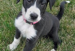 We  will have one :)