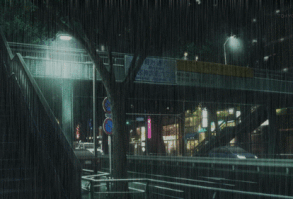 Squid game x reader (completed) this has become a crack fic somehow… #fanfiction # Fanfiction # amreading # books # wattpad