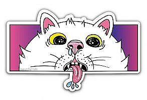 Stickers, cat memes, cat aesthetic, cat drawing, illustration, funny derp cat, hydro flask stickers, , kitty, meme