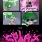 THE WISDOM OF LEE SQUIDLY FINALE - Imgur