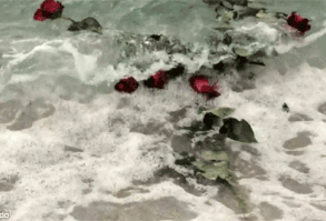 Mavi gözlerinin içine baktım. Karamsar şekilde başımı eğerken, çenemd… #gençkurgu # Genç Kurgu # amreading # books # wattpad