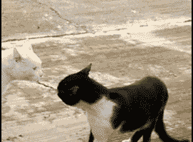 The 17 Best Ways To Annoy A British Person