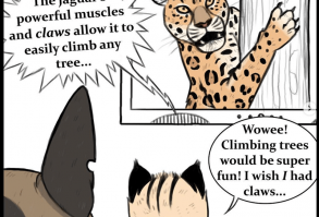 We just love Pixie and Brutus's relationship!