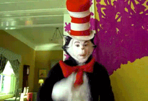 When bae talks to anothrt girl.......The Cat in the Hat. | The 42 Sassiest Things That Have Ever Happened