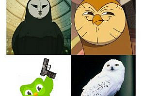 The Owl House Dub (2022) : r/TheOwlHouse