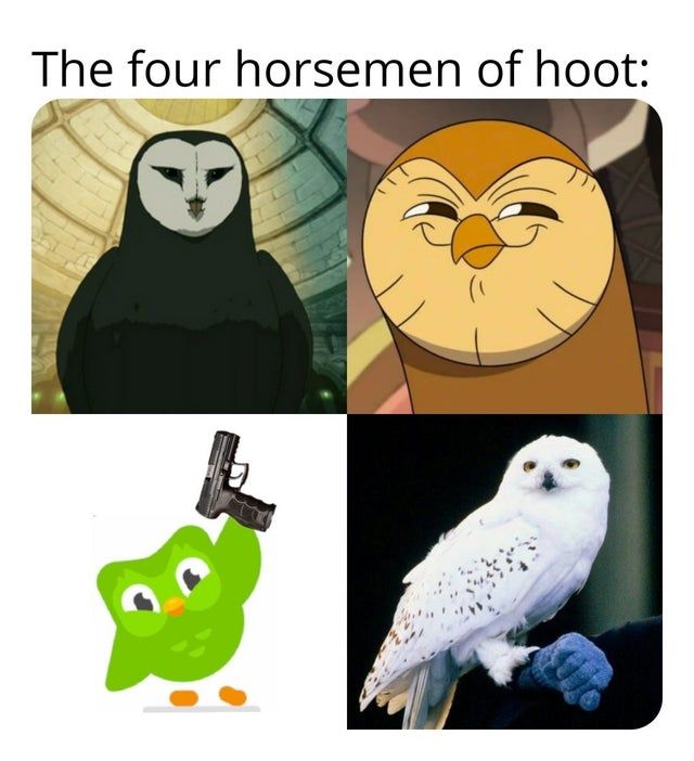 The Owl House Dub (2022) : r/TheOwlHouse