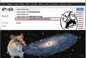 I Hate it When my Chinchilla Eats the Universe | The Things That People Hate So Much They Turn To Google