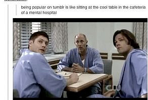 They have a GIF for popularity: