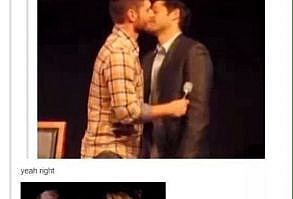 They have a GIF for happy accidents: | Community Post: Definitive Proof That The