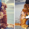 This Retriever Is Obsessed With Giving Hugs To Everyone He Meets | Bored Panda