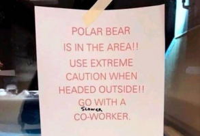 Thursday Afternoon Funny Meme Dump 37 Pics