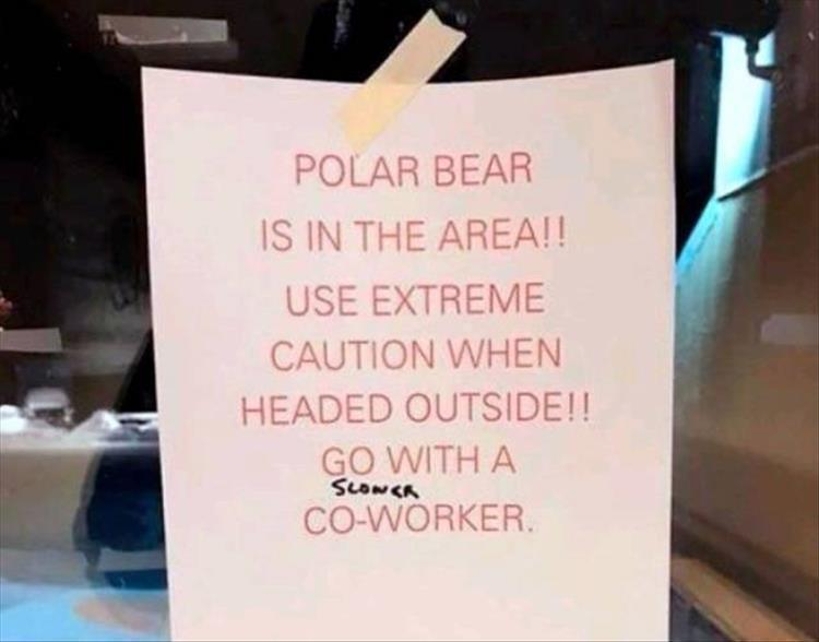 Thursday Afternoon Funny Meme Dump 37 Pics