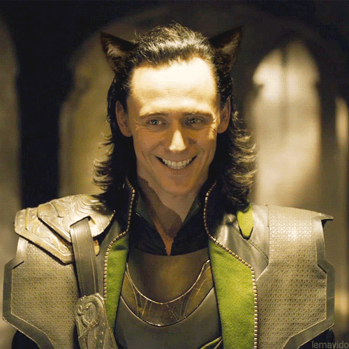 Lokicat GIFs. So cute
