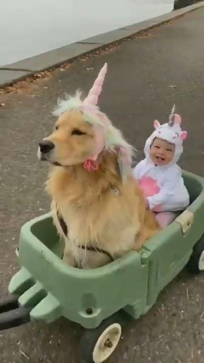 Unicorn rider. Share our videos with your friends and families.