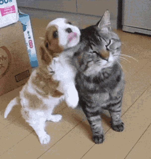 Veeunus Hug GIF - Veeunus Hug Hugs - Discover & Share GIFs