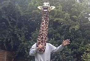 This Guy Dancing With A Giraffe Puppet Will Instantly Brighten Your Day