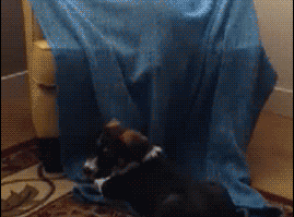 We are just a million little gods