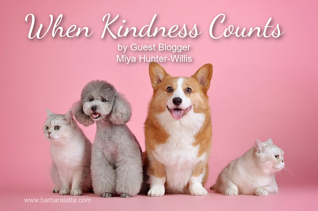 Navigating Life's Curves : When Kindness Counts