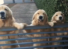 You're Back!https://ift.tt/2wPT002