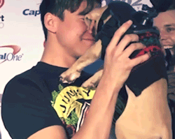If you're ever having a bad day or something and just want to smile, then always remember that this gif of Calum with a puppy exists!